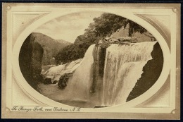 RB 1181 - Early New Zealand Postcard - Te Reinga Falls Near Gisborne - Nouvelle-Zélande