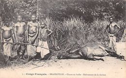 Thème: Chasse A Tir Congo Français: Trappe A Léopard.Chasse Au Buffle.   3 Cartes   (voir Scan) - Chasse