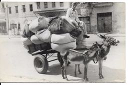 PAKISTAN, KARACHI, Donkey Cart - Pakistán