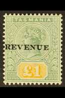 TASMANIA POSTAL FISCAL 1900 £1 Green & Yellow "REVENUE" Overprint, SG F39, Superb Mint, Very Fresh & Attractive. For Mor - Altri & Non Classificati