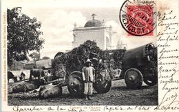 AMERIQUE -- MEXIQUE -- Carrero De Oaxaca - Mexique