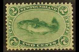 1865-70 2c Yellowish Green Atlantic Cod, Perf 12 On Thin Yellowish Paper, SG 25, Fine Mint With Original Gum. For More I - Otros & Sin Clasificación