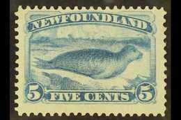 1880-82 5c Pale Dull Blue Common Seal, Perf 12, SG 48, Fine Mint With Original Gum. For More Images, Please Visit Http:/ - Altri & Non Classificati