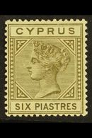 1882-86 6pi Olive-grey, Die I, Watermark Crown CA, SG 21, Fine Mint. For More Images, Please Visit Http://www.sandafayre - Altri & Non Classificati