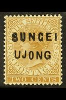 SUNGEI UJONG 1881 2c Brown , "N & E", And "U And NG" Wide, SG 8, Very Fine Mint. Lovely Stamp. For More Images, Please V - Altri & Non Classificati