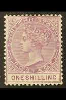 1890 1s Bright Mauve, SG 21, Very Fine Mint. For More Images, Please Visit Http://www.sandafayre.com/itemdetails.aspx?s= - St.Cristopher-Nevis & Anguilla (...-1980)