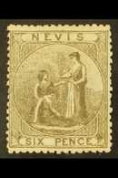 1878 6d Grey Litho Printing, SG 19, Very Fresh Unused Without Gum. For More Images, Please Visit Http://www.sandafayre.c - St.Christopher-Nevis & Anguilla (...-1980)