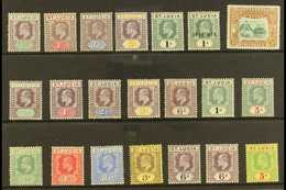 1902-10 MINT KEVII SELECTION A Fine Mint, Attractive Selection On A Stock Card. Includes 1902-03 Set Plus An Additional  - St.Lucia (...-1978)