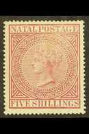NATAL 1874-99 5s Maroon, Perf 14, SG 71, Mint, Light Discoloration Above The Queen's Head, Otherwise Very Fresh For More - Non Classificati