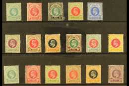 NATAL 1902-1909 MINT SELECTION On A Stock Card. Includes 1902-03 Set To 1s Plus 4s, 1904-08 Set To 5d & 1908-09 6d. Gene - Unclassified