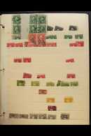 1908 TO 1920 WASHINGTON / FRANKLINS & COMMEMORATIVES IDENTIFIED COLLECTORS STOCK Of Mainly Used Stamps Presented On 17 O - Other & Unclassified