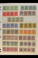 1902-1913 SUBSTANTIAL MINT ACCUMULATION On Stockcards, Leaves/stockleaves, Etc. Can See Numerous ½d's And 1d's Including - Unclassified