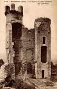 CPA Bressieux Les Ruines Du Vieux Château Vue Intérieure - Bressieux