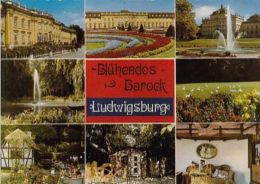 67973- LUDWIGSBURG- THE PALACE, GARDENS, FOUNTAIN, BIRDS - Ludwigsburg