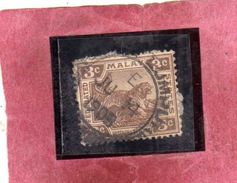 MALAYA MALAISIE MALESIA FEDERATED STATES 1901 WILD FAUNA TIGER TIGRE CENT. 3c USATO USED OBLITERE' - Fédération De Malaya