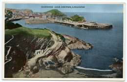 ILFRACOMBE : RAPPAREE COVE AND PIER - Ilfracombe