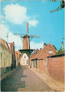 Hulst - Stadsmolen - & Windmill - Hulst