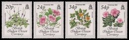 B.I.O.T. 1993 - Fleurs, Noël 1993 - 4 Val Neufs // Mnh - Territoire Britannique De L'Océan Indien