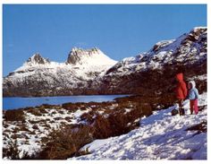 (461) Australia - TAS - Cradle Mountain In Winter - Wilderness