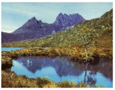 (461) Australia - TAS - Cradle Mountain & Dove Lake - Wilderness