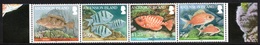 ASCENSION ISLAND 2010 Reef Fish (Part 1): Strip Of 4 Stamps (ex Sheetlet) UM/MNH - Ascension