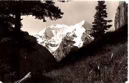 Balmhorn Und Atles Vom Allmen Aus (Kandersteg) - Kandersteg