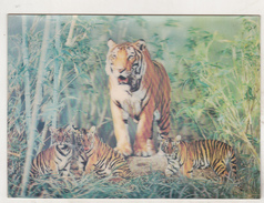 Japan Old Used Postcard - Tiger - 3D Postcard Wonder Co Tokyo SSP-308 - Tiger