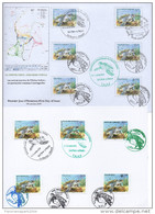 FDC La Tortue Verte Green Turtle Schildkröte 2014 Joint Issue Faune Fauna Madagascar Seychelles France Comores - Andere & Zonder Classificatie