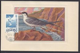 FINLANDE - Carte Maximum "Sterna Hirundo Hirundo - Sterne" Cachet Helsinki 18-IV-53 - B/TB - - Cartoline Maximum