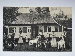 GERMANIA DEUTSCHLAND Braunfels Porsthaus Gasthaus Im Tiergarten  AK Postcard - Wetzlar