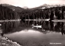 Flims, Am Caumasee (carte Grand Format) - Flims