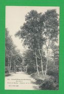 Cartes Postales 78 YVELINES SAINT NOM LA BRETECHE Foret De Marly Chemin De La Gare - St. Nom La Breteche