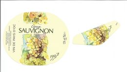 Etiquette De VIN De PAYS D'OC " Sauvignon Jeanjean 1997 " - Vin De Pays D'Oc