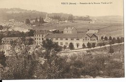 VERZY - Pressoirs De La Maison WERLE Et Cie - Verzy