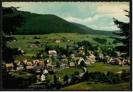 Baiersbronn-Mitteltal Im Murgtal / Schwarzwald  -  Ansichtskarte Ca.1960  (7969) - Baiersbronn