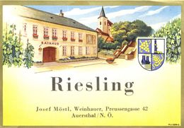 1589 - Autriche + Riesling - Josef Möstl - Weinbauer - Preussengasse 42 - Auersthal - N. Ö - Weisswein