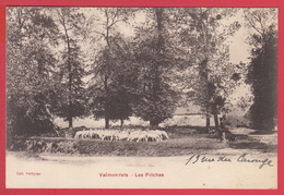 CPA-95- VALMONDOIS - LES FRICHES - Berger Gardant Ses Moutons *  SUP** - 2 SCANS - Valmondois