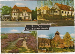 Sprötze - Lüneburger Heide; Hotel Waldheim Lohbergen, Haus Osterburg, Brunsberg, Kirche  (D.) - - Buchholz
