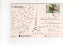 Beau Timbre  WWF " Oiseau  : Pigeon Des Mares " Sur Carte , Postcard Du 12/05/1986 - Mauritius (1968-...)
