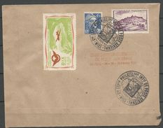 EXPO INTERNATIONALE DE LA POSTE AERIENNE NICE 1947 - Cartas & Documentos