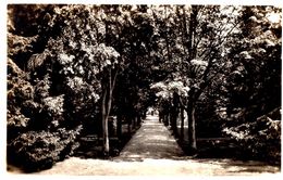 Lucens Home Protestant De Jeunes Filles Le Parc - Lucens