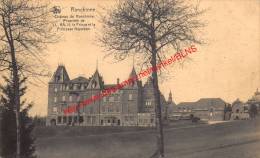 Château De Ronchinne - Propriété De LL. AA. II. Le Prince Et La Princesse Napoléon - Maillen - Assesse