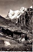 Lanoschaft Bei Mürren Eiger Mönch - Mürren