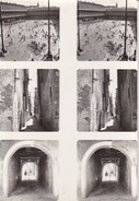 Fotos Venedig - Markusplatz Etc. - Stereophoto - Ca. 1950 (31798) - Photos Stéréoscopiques