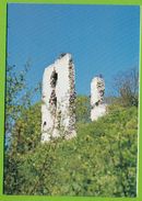 Ruines Du Château De BOVES (carte Double) - Boves