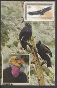 ETATS-UNIS - Carte Maximum "California Condor" Cachet Avery Island 12 Juin 1971 - B/TB - - Maximum Cards