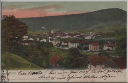 Liestal - Generalansicht - Photo: Guggenheim - Liestal