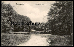 ALTE POSTKARTE EBERSWALDE ZAINHAINER SEE ZAINHAMMER AK Ansichtskarte Cpa Postcard - Eberswalde