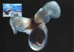 Entier Postal De 2008 Sur CP Avec Timbre "Biologie Marine - Espèce D'Escargot Des Mers" - Oblit. PJ 13 Sept 2008" - Maximumkarten