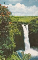 Hawaii Hilo Rainbow Falls 1983 - Hilo